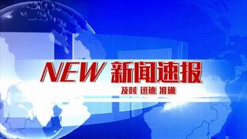 爆料新闻素材摘抄大全,热点事件背后的真相与细节