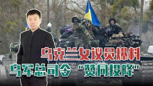 俄乌战争的最新爆料视频,揭秘战场真实情况与冲突升级背后真相